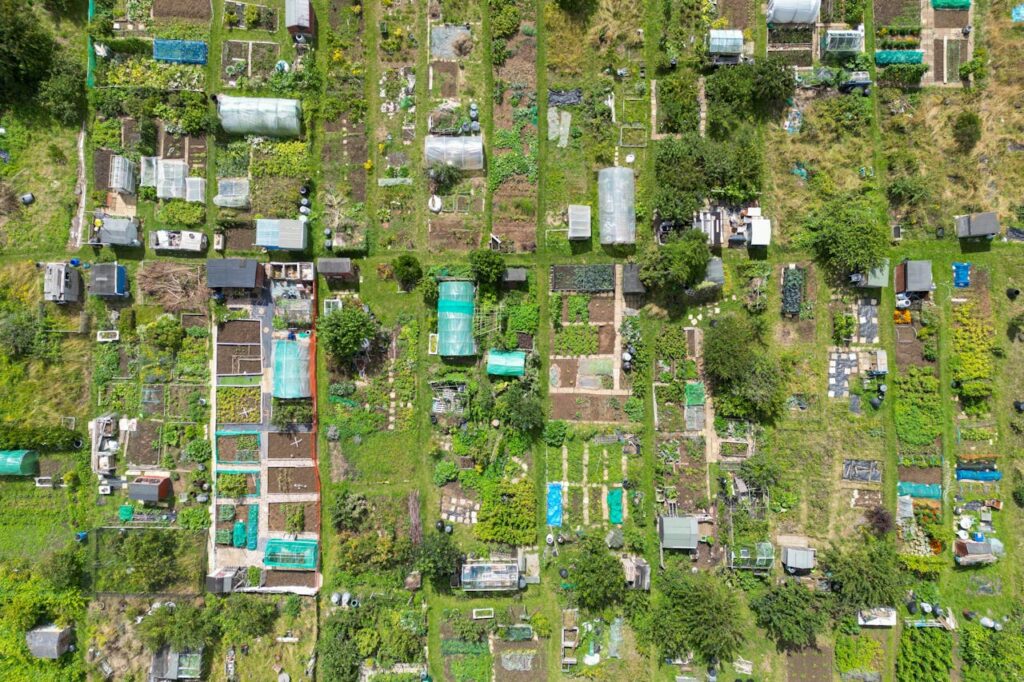 Residential plots for sale|https://digilandrr.in/